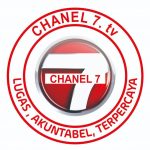 Chanel 7