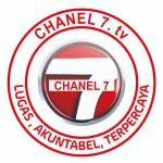 Chanel 7 (mini)