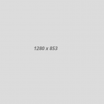 banner2