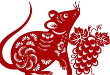 Ramalan untuk Shio Tikus di Tahun Kelinci Emas ini.