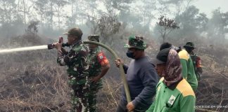 Kerahkan Peralatan Yang Ada, Tim Karhutla Mempawah Padamkan Titik Api