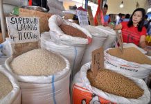 Harga Beras Terus melonjak dari Akhir Tahun 2022