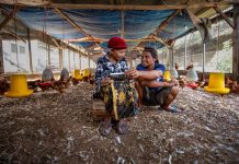 Makin Efisien & Fokus di Segmen Mikro Jadi Kunci BRI Cetak Laba Tinggi di Kuartal I/2023
