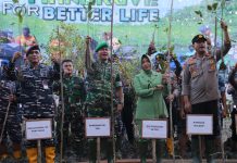 Jaga Ekosistem Pesisir, Pangdam XII/Tpr Pimpin Penanaman Mangrove Nasional Secara Serentak di Wilayah Kalbar