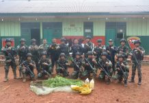 Temuan Ladang Ganja di Tapal Batas oleh Satgas Pamtas Yonif 725/Wrg Dan Bea Cukai Merauke