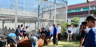 11 Ekor Sapi Dan 11 Ekor Kambing Di Sembelih Lapas Cikarang Di Hari Raya Idul Adha 1444 H