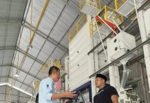 Petani Muda Asal Pemalang Jadi Inspirasi Generasi Muda Dalam Memajukan Bidang Pertanian