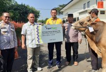 FajarPaper Serahkan 96 Hewan Kurban Jelang Hari Raya Idul Adha 1444 H