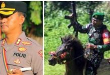 Bubarkan Aktifitas Perjudian, Sertu Petrus Harus Berbenturan Dengan Kapolres SBD