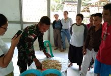 Tingkatkan Ketahanan Pangan, Satgas Yonarmed 16/TK Ajarkan Pembuatan Tempe Kepada Warga Perbatasan.