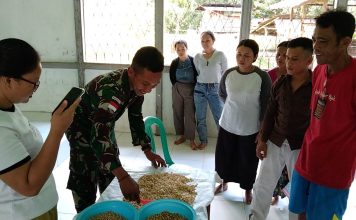 Tingkatkan Ketahanan Pangan, Satgas Yonarmed 16/TK Ajarkan Pembuatan Tempe Kepada Warga Perbatasan.