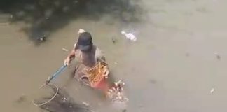 Ratusan Ikan Mati Di Kali Telaga Asih, Di Duga Akibat Keracunan Limbah Pabrik