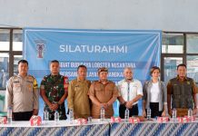358 Kasus Penjualan Benih Lobster membuat Kerugian RP. 1.6 T