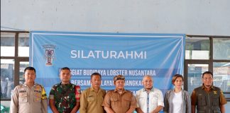 358 Kasus Penjualan Benih Lobster membuat Kerugian RP. 1.6 T