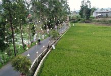 Lebih Dari 2800 Desa BRILiaN Semakin Berdaya Berkat BRI