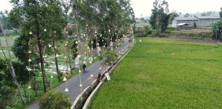 Lebih Dari 2800 Desa BRILiaN Semakin Berdaya Berkat BRI