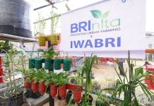 Warga Tuminting & BRI Ubah Lahan Timbunan Sampah Jadi Lahan Urban Farming ‘BRInita’