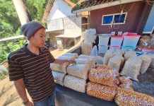 Usaha Endog Lewo Garut, Sukses Tingkatkan Produksi Berkat Pemberdayaan BRI KlasterkuHidupku