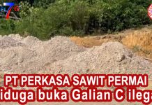 PT Perkasa sawit Permai diduga buka galian C ilegal