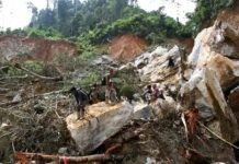 TEWAS 12 PENAMBANG EMAS DI SOLOK AKIBAT TERTIMBUN LONGSOR