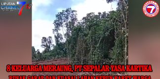 8 keluarga Meraung PT. Sepalar Yasa Kartika rusak garap dan kuasai lahan kebun karet warga