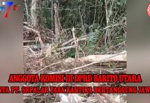Anggota Komisi III DPRD Barito Utara, minta PT. Sepalar Yasa Kartika bertanggung jawab