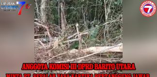 Anggota Komisi III DPRD Barito Utara, minta PT. Sepalar Yasa Kartika bertanggung jawab