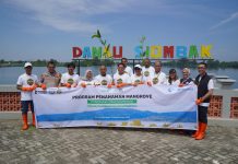 Pelindo Multi Terminal Group Tanam 11.000 Mangrove Bawa Manfaat Bagi Masyarakat