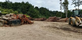Diduga Illegal Logging, PT. Multi Sibolga Timber Jadi sorotan publik.
