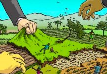 Mafia Tanah Marak di Bogor, Masyarakat Resah