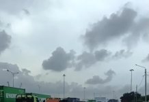 Supir Truk Keluhkan Kinerja Operasional PT BNCT di Pelabuhan Belawan, Bongkar Muat Dinilai Lambat