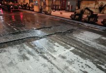 Ironi di Gerbang Ekspor: Tiga Tahun DP World Kelola BNCT, Upah Pekerja Sektor Internasional Justru Anjlok di Bawah Sektor Domestik