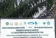 Satgas PKH Sita Lahan Sawit Ribuan Hektar di Barito Utara Serahkan ke Agrinas Disorot