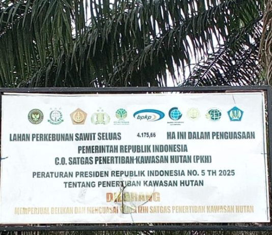 Satgas PKH Sita Lahan Sawit Ribuan Hektar di Barito Utara Serahkan ke Agrinas Disorot